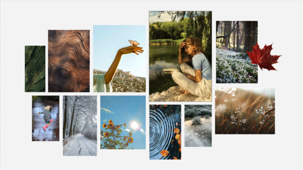 screenshot 2026 01 18 014533